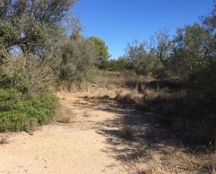 Residencial en venda en El Perelló