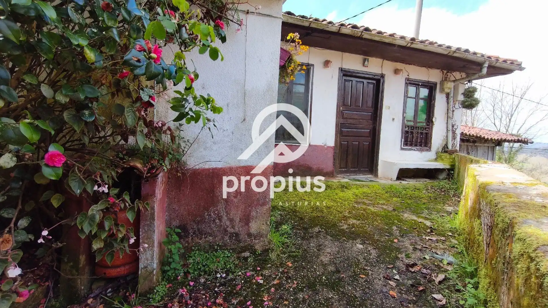 Casa o xalet en venda a Buda, Vibaña - Ardisana - Caldueño