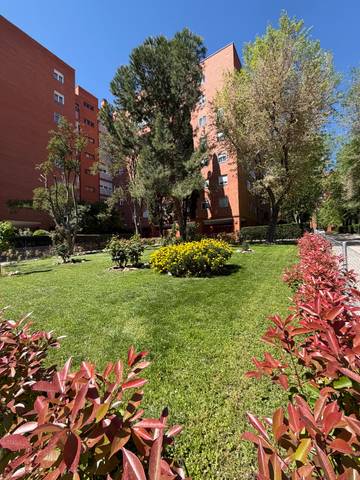 Local comercial en Alquiler en Calle de Luis de Hoyos Sainz en Pavones