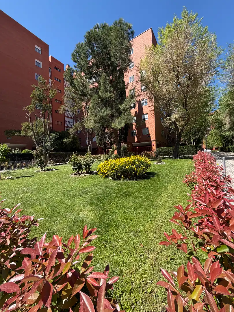 Garten von Geschaftsraum zur Miete in Madrid mit Klimaanlage und Heizung