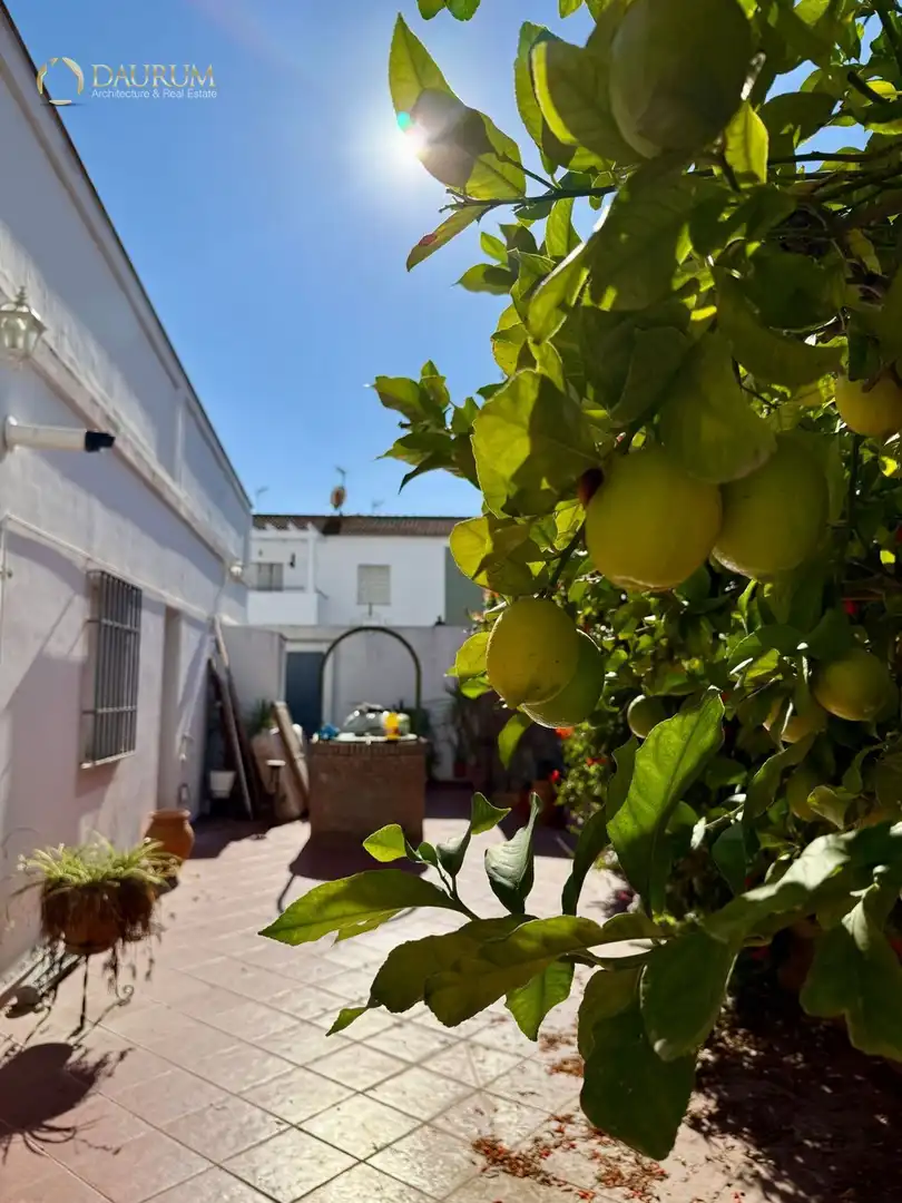 Jardín de Casa o chalet en venta en Centro
