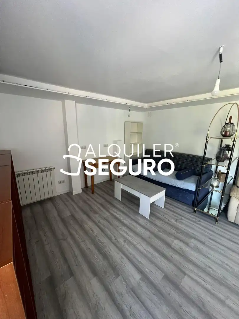 Sala de estar de Piso de alquiler en Madrid con Calefacción y Amueblado
