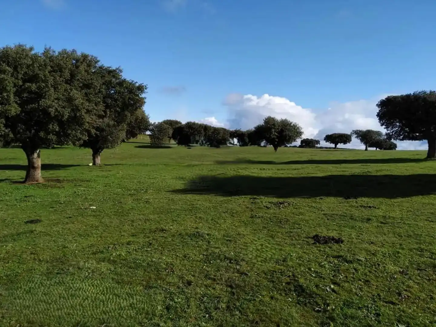 Land for sale in Vistahermosa