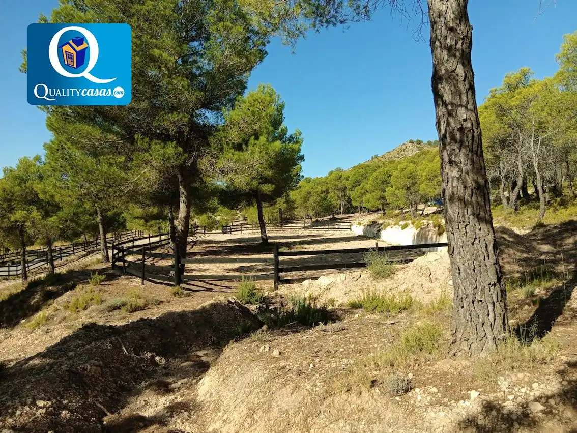 Terrenys i solars en venda a Onil, imagen 9