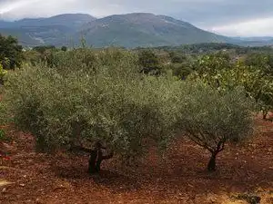 Terreni e lotti in vendita a Jarandilla de la Vera