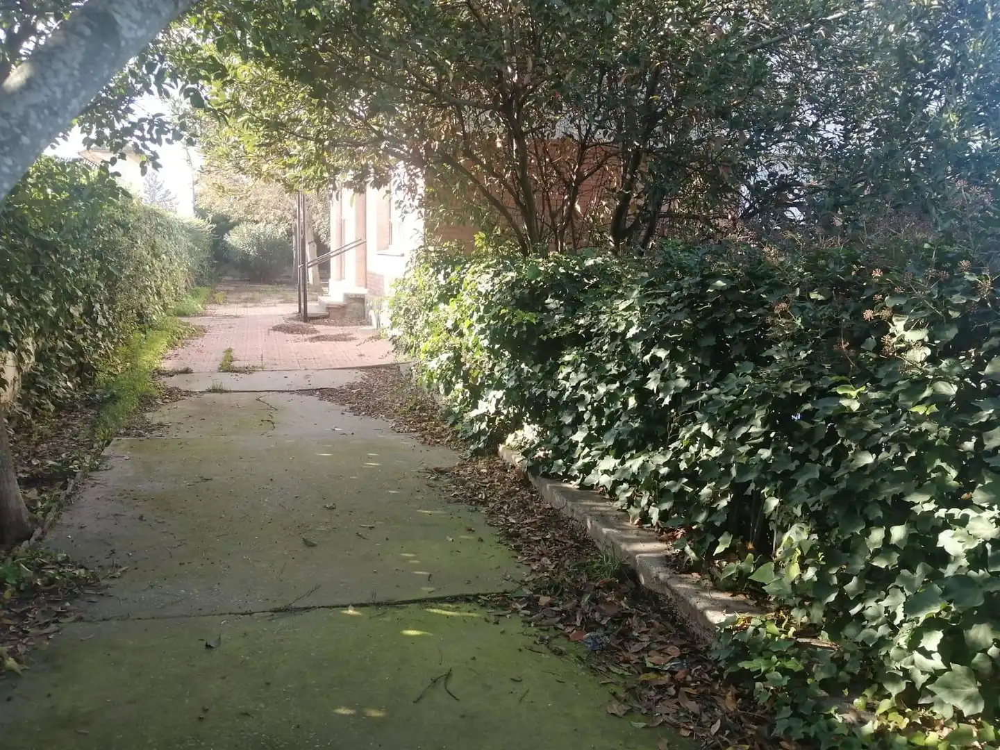 Casa o xalet en venda en Tàrrega amb Jardí privat, Terrassa i Traster