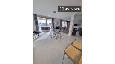 Foto 4 de Habitación en El Terreno, Palma de Mallorca