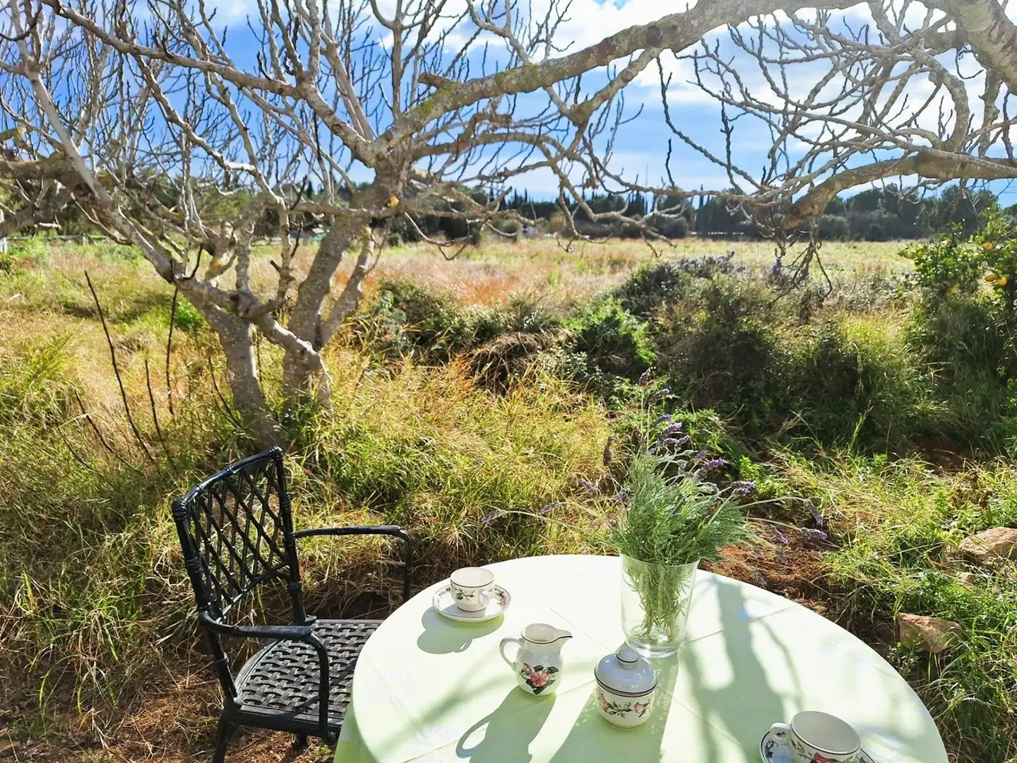 Villa à vendre à Polígono 5 96, imagen 3