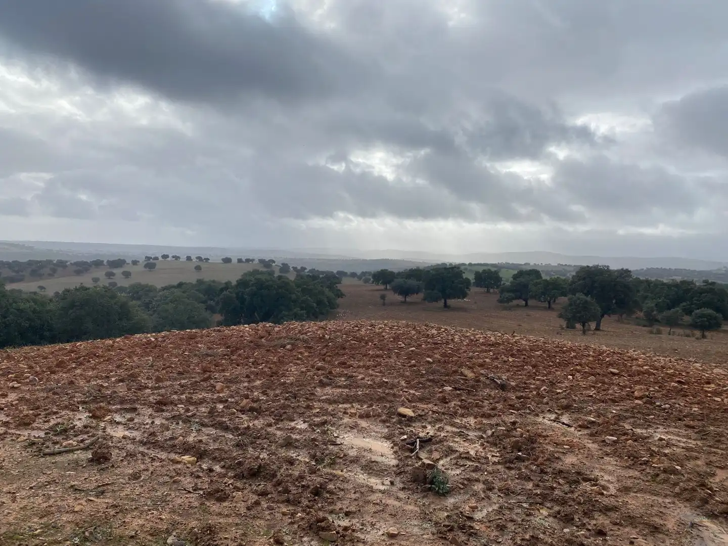 Terreno en venta en Anchuras