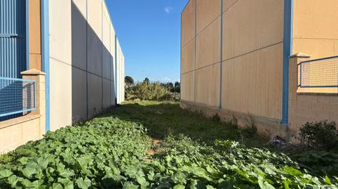 Photo 4 of Industrial land for sale in Capellanía - Retamar, Málaga