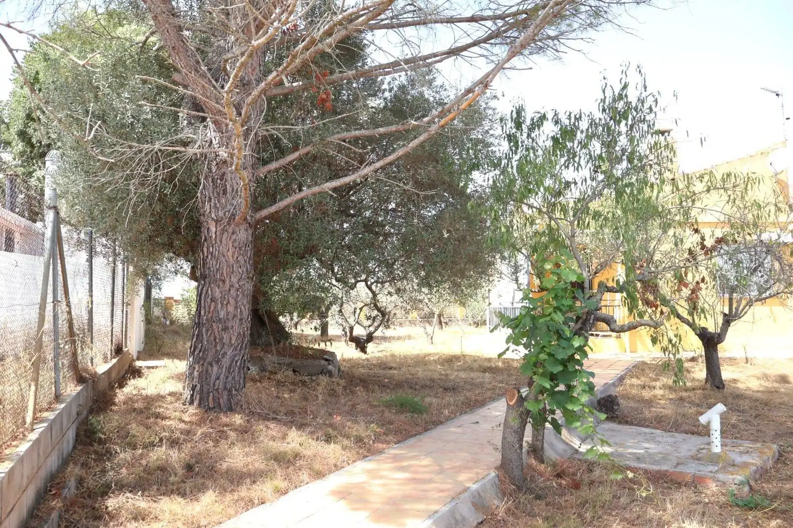Casa rústica en venda a Vall d'Alba, imagen 48