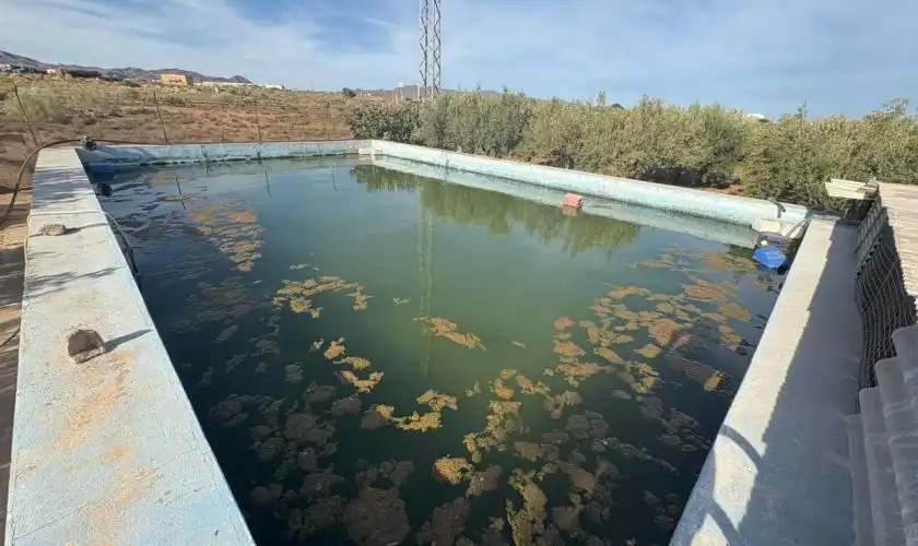 Piscina de Casa o xalet en venda en Níjar amb Jardí privat, Terrassa i Piscina