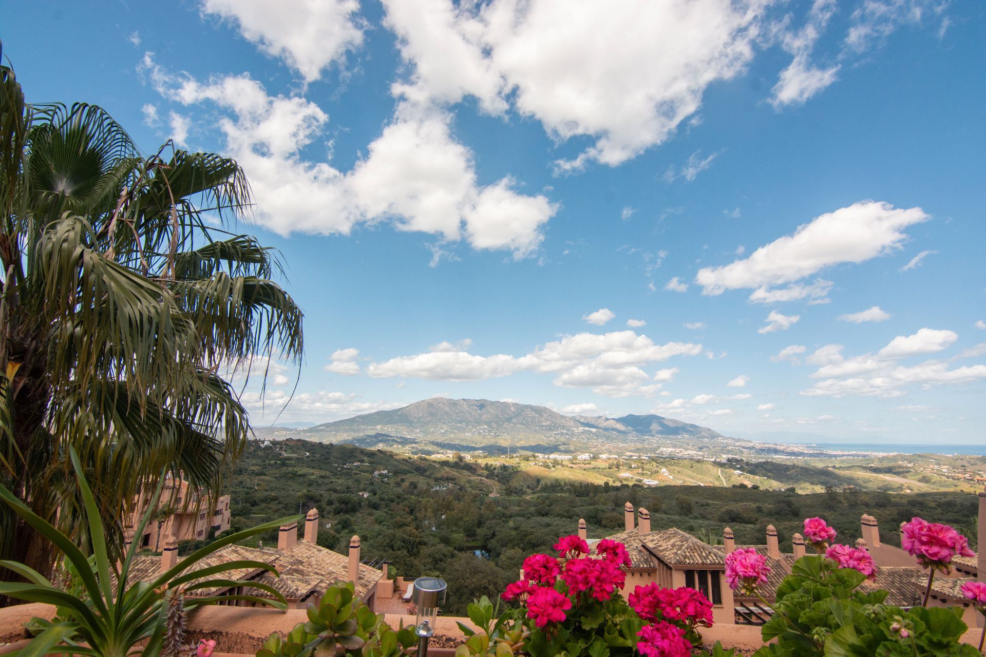 Exterior view of Attic for sale in Málaga Capital  with Air Conditioner, Terrace and Furnished