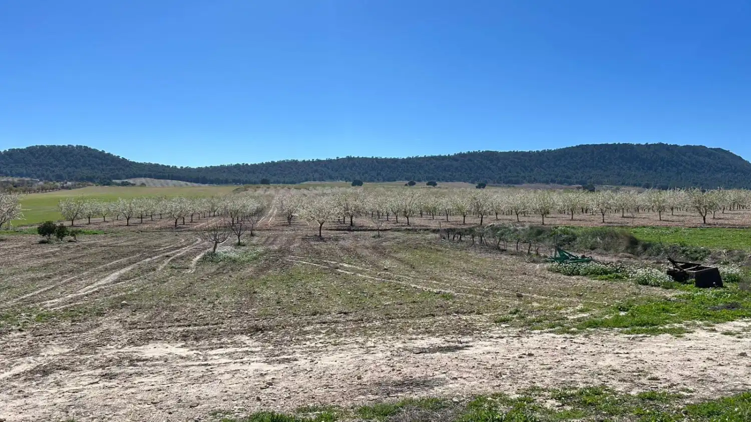 Finca rústica en venda en Tobarra
