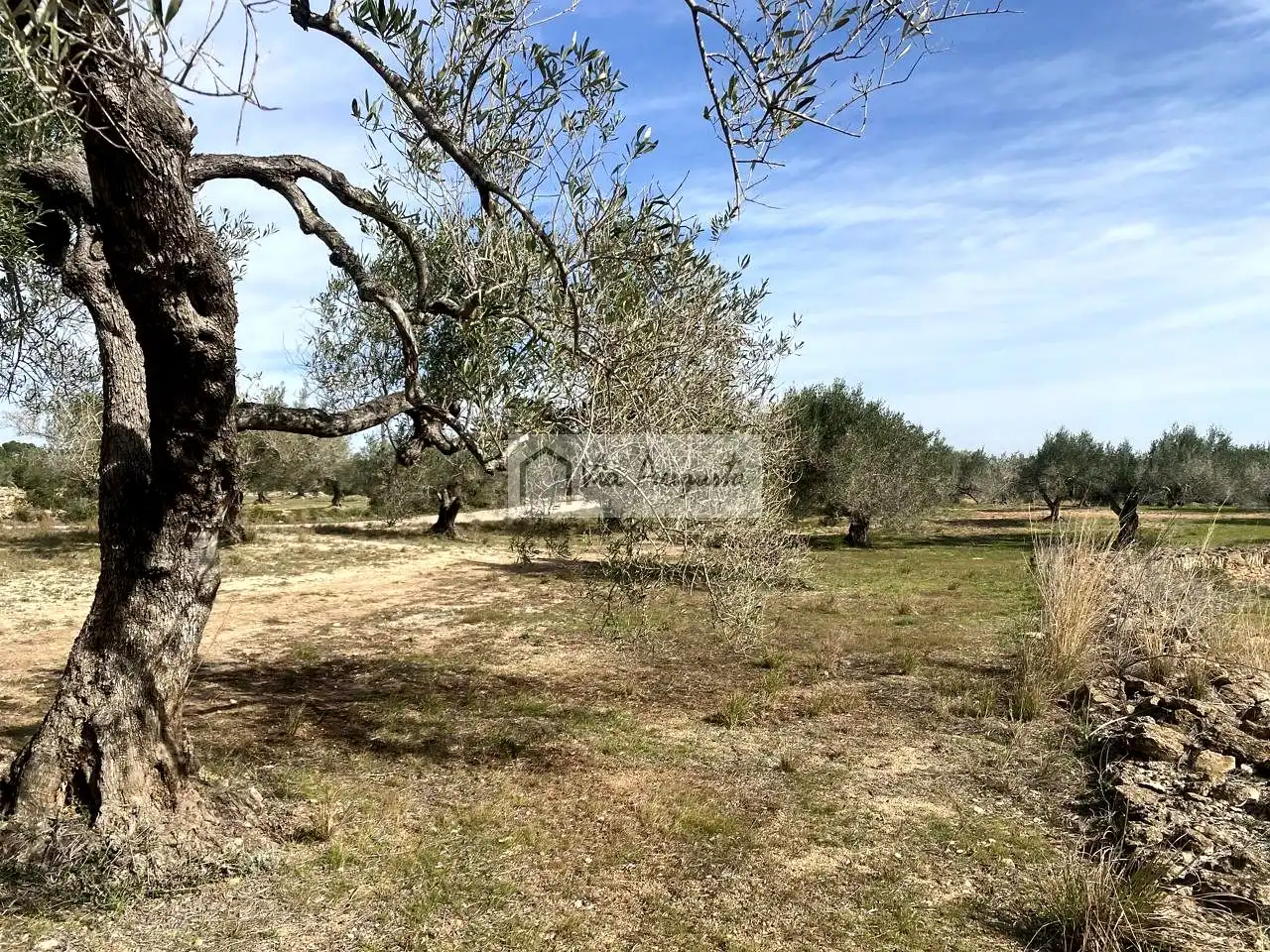 Terreno rustico in vendita a Planas, imagen 14
