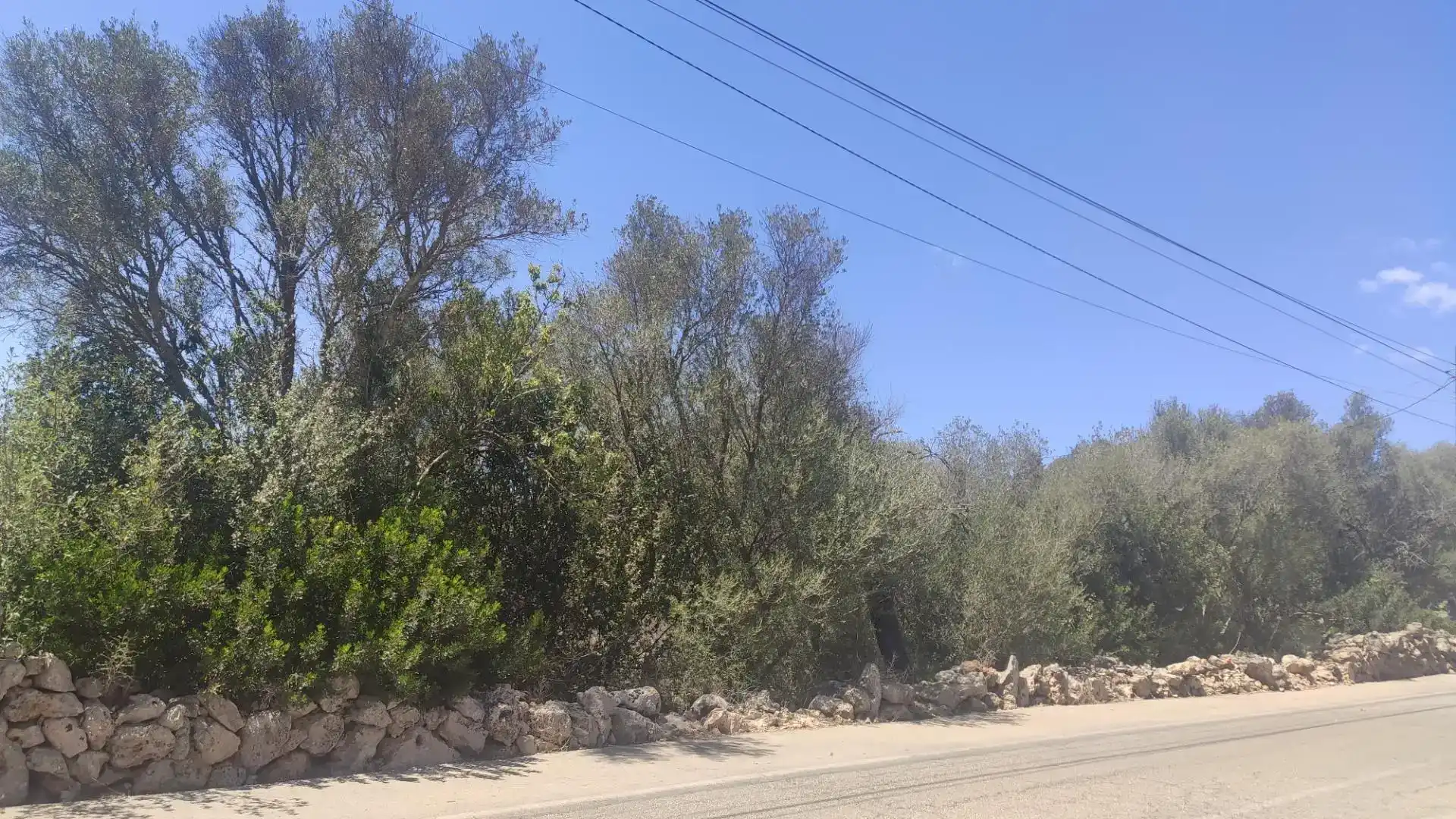 Terreny en venda en Marratxí