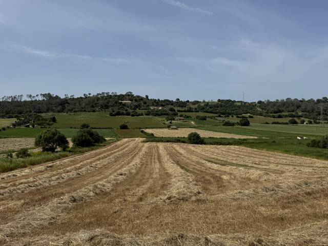 Terreno en Venta en Sineu