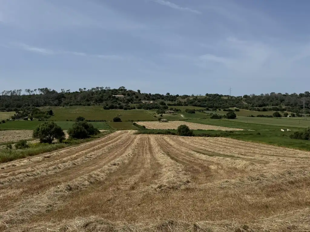 Terreny rústic en venda a Sineu, imagen 15