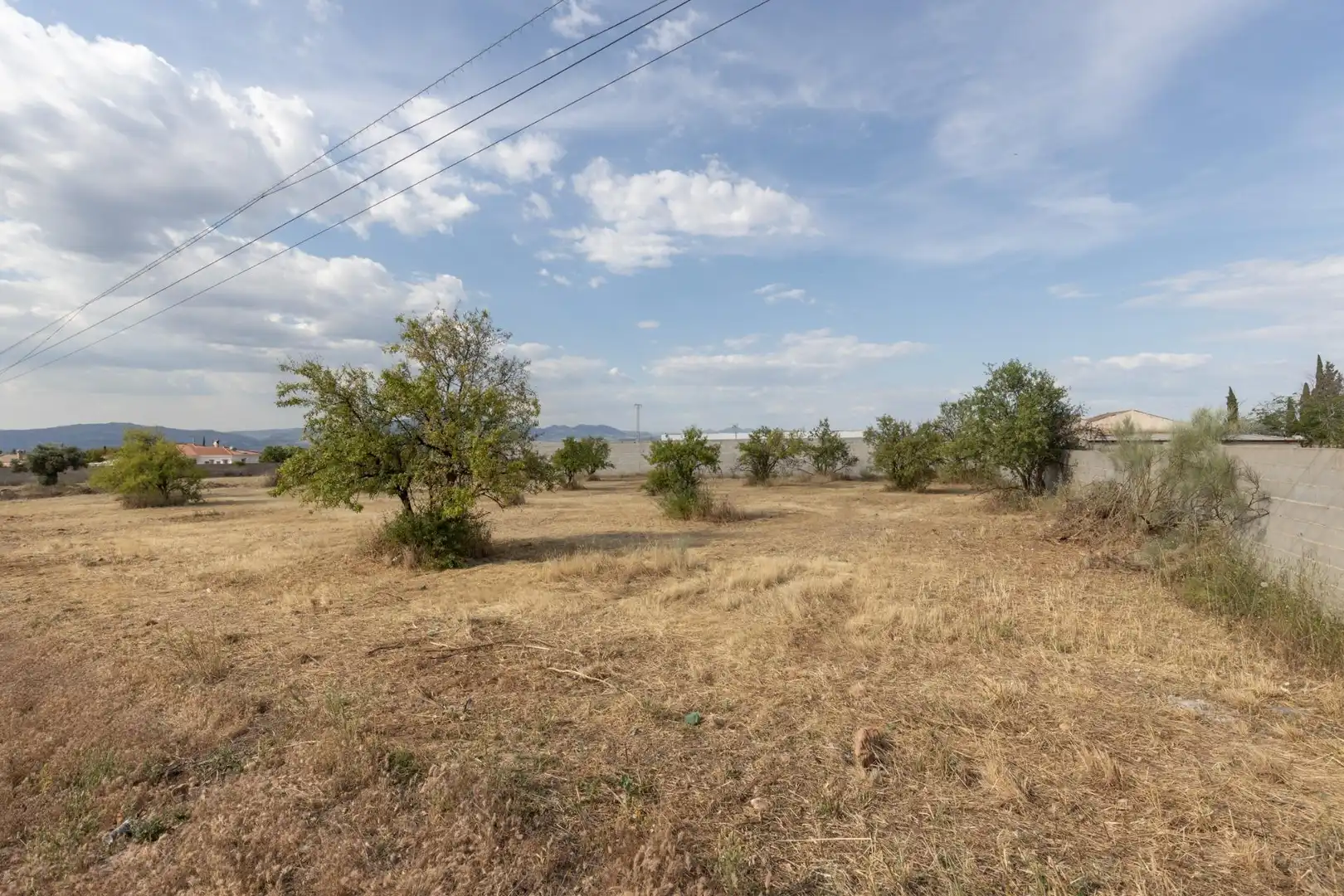 Rural land for sale in Polígono 10 Parcela 308 RIEGOS DE MORALEDA. MORAL, imagen 9