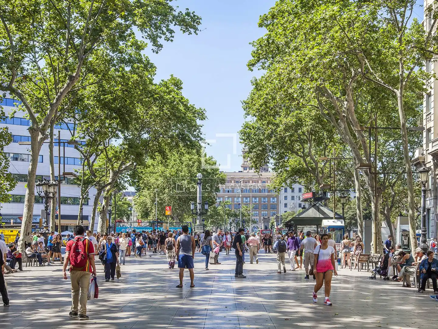 Pis de lloguer a Barcelona, Barcelona