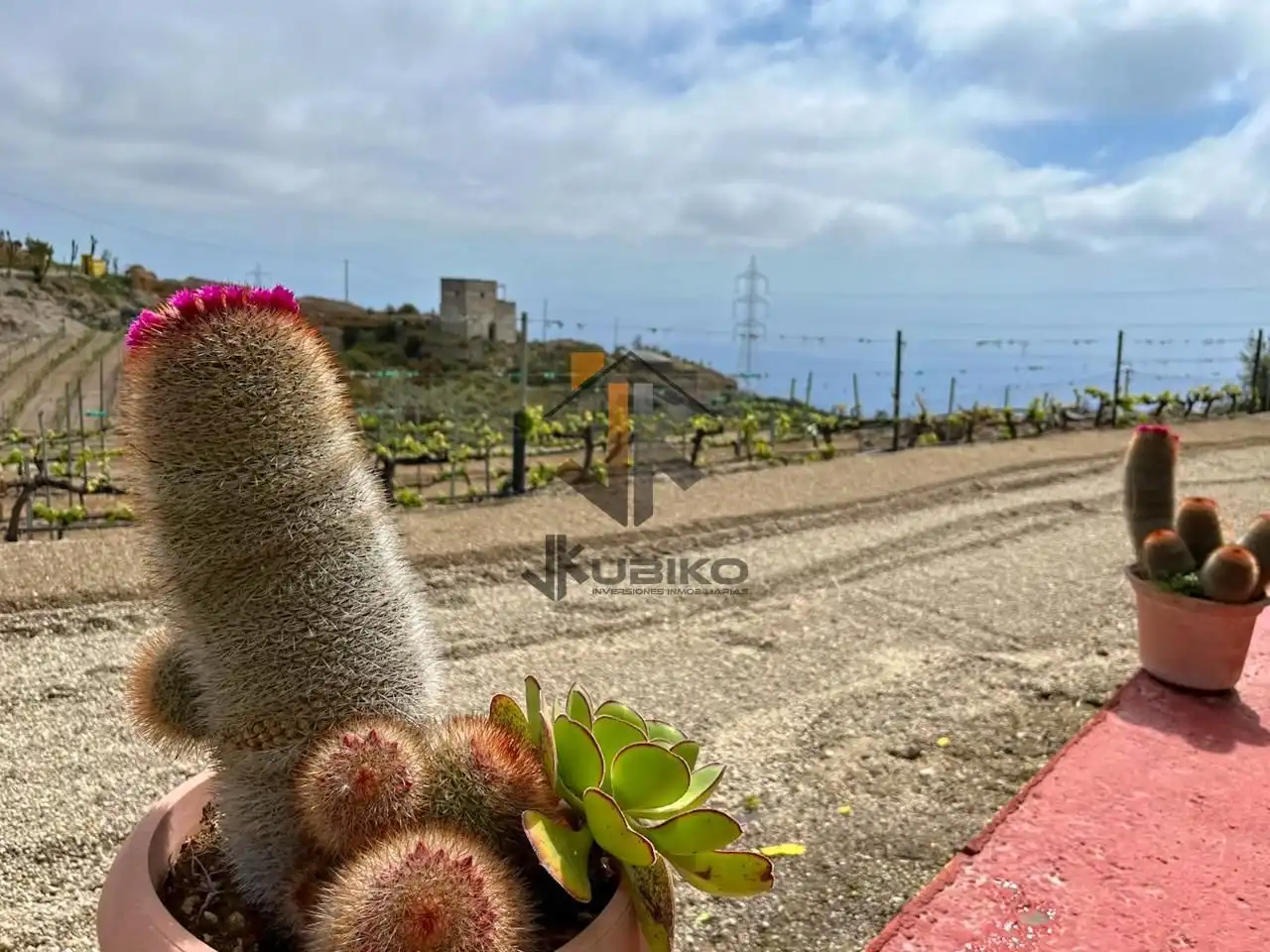 Land for sale in Fasnia