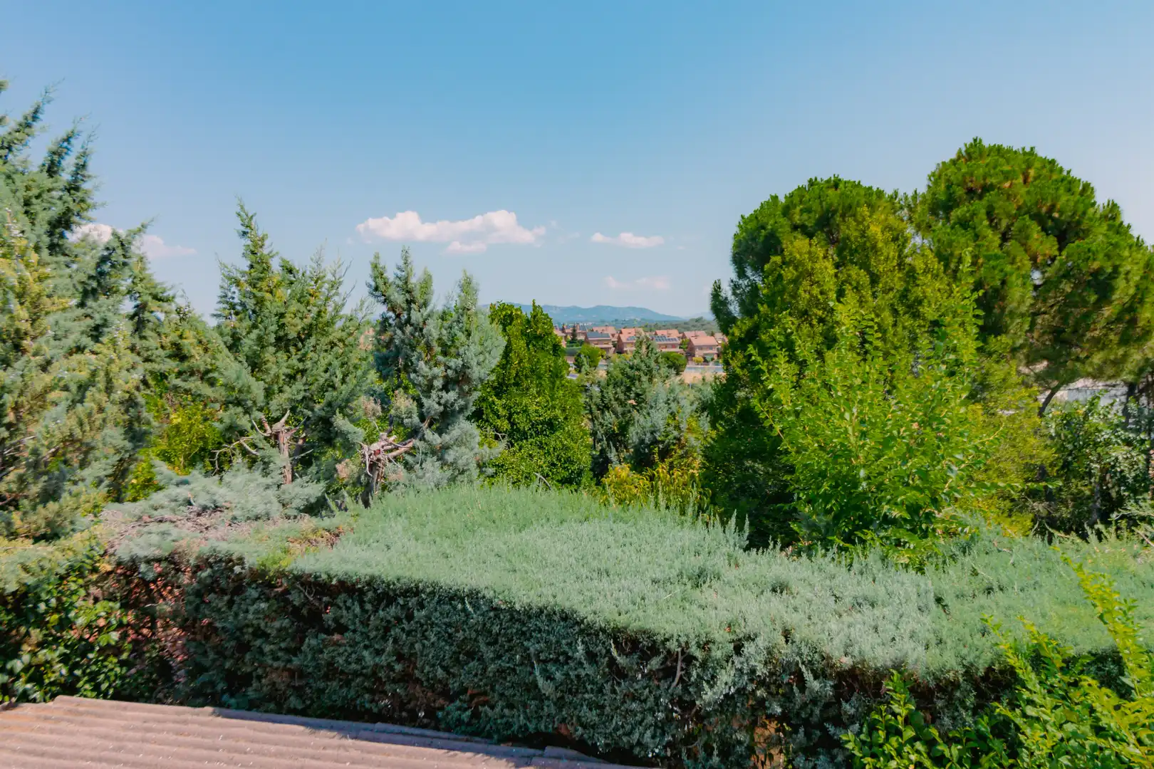 Jardí de Casa o xalet en venda en Las Rozas de Madrid amb Calefacció, Jardí privat i Parquet