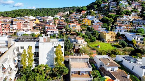 Foto 2 de Casa o chalet en venta en Santa Cristina - Sant Francesc, Blanes