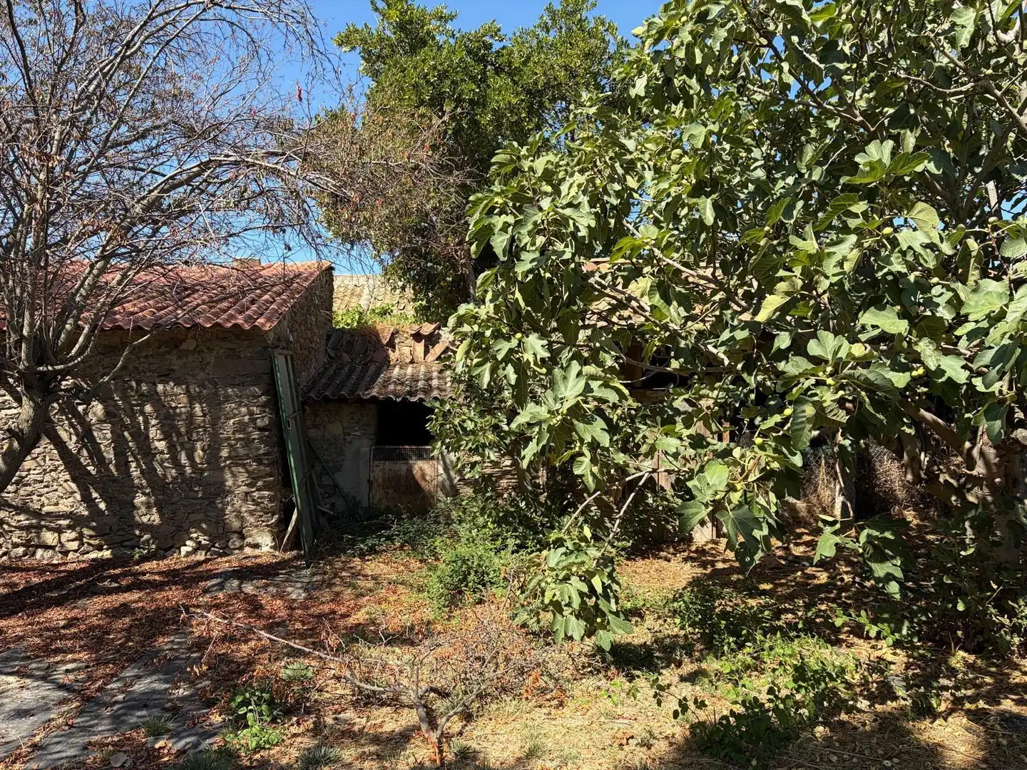 Casa o chalet en venta en Santa María la Real de Nieva, Segovia