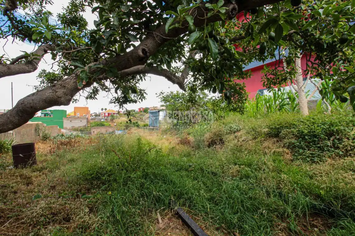 Terreno residencial en venta en El Sauzal, imagen 2