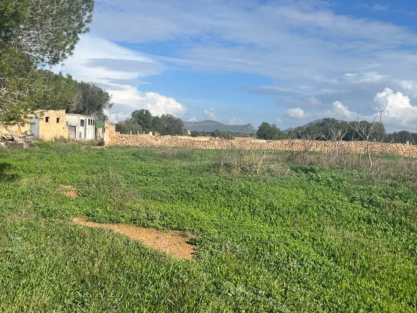 Finca rústica en venta en Llucmajor pueblo