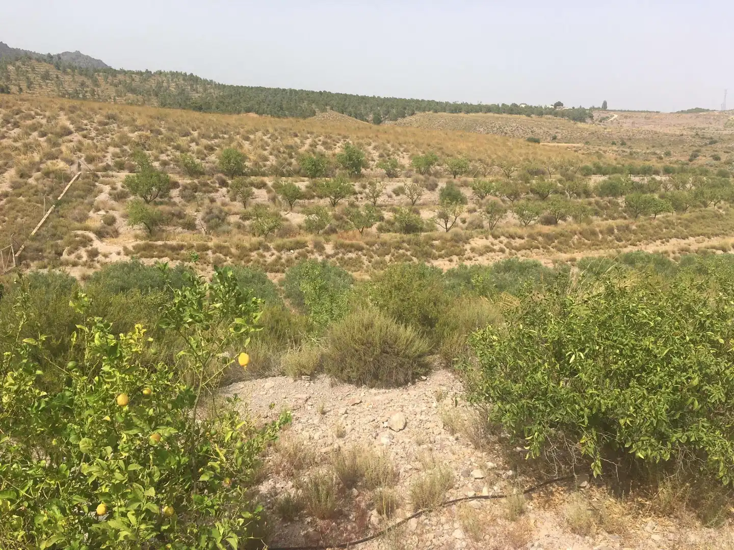 Country house zum Verkauf in Lorca mit Privatgarten und Schwimmbad