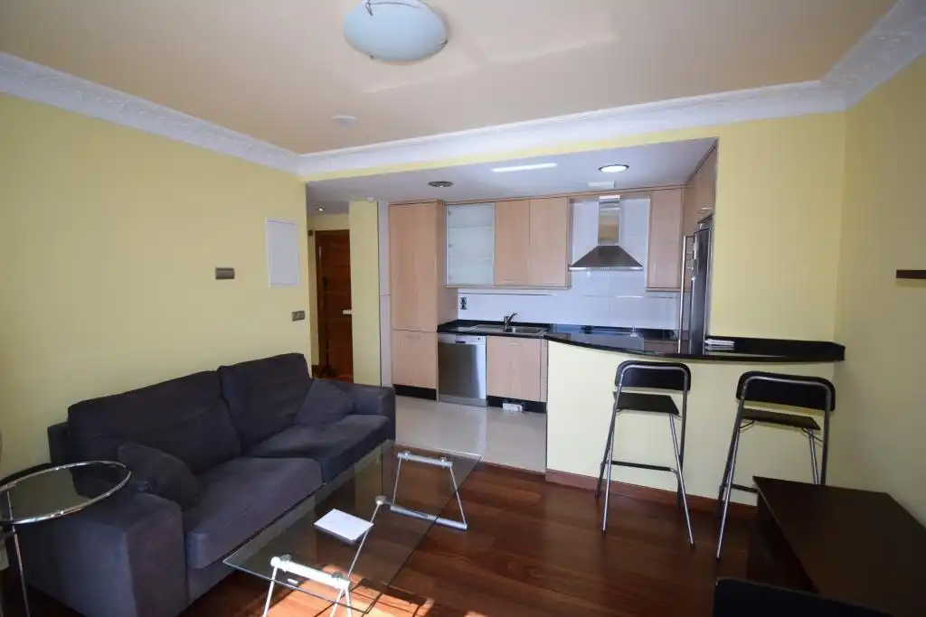 Sala de estar de Apartamento en venta en A Coruña Capital  con Calefacción, Trastero y Amueblado