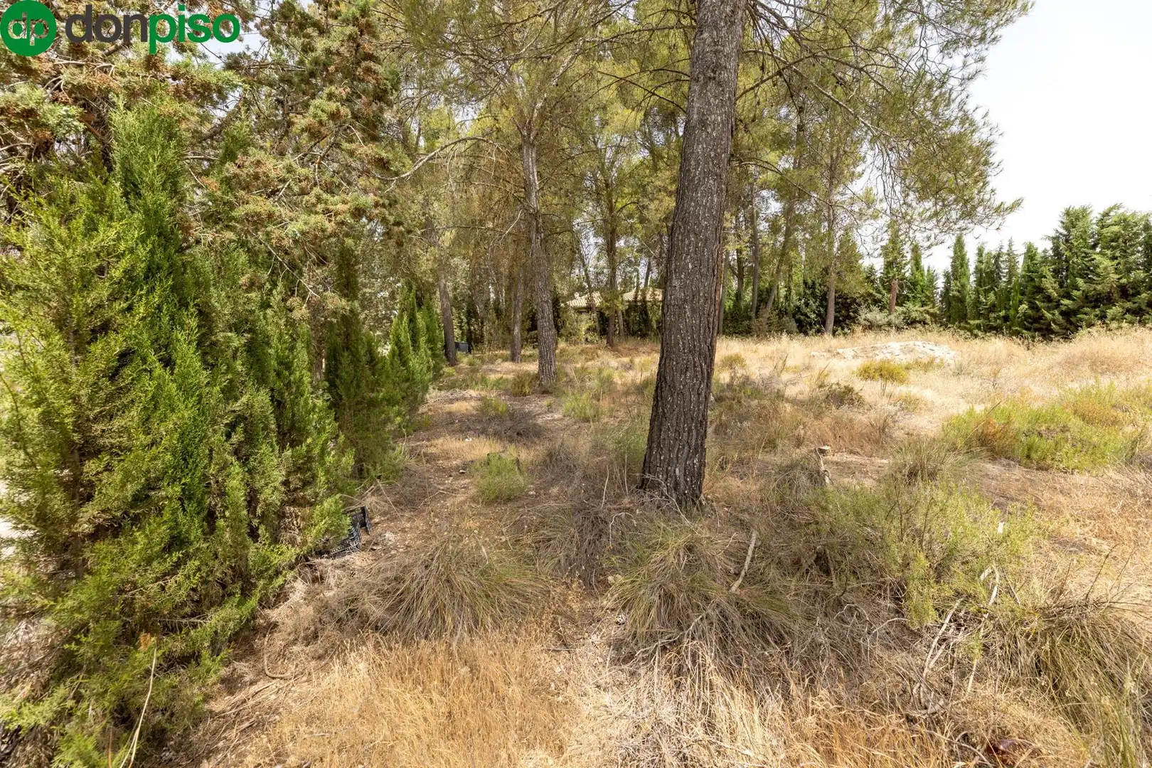 Terrenos y solares en venta en Calle de los Poetas Populares 1, imagen 13
