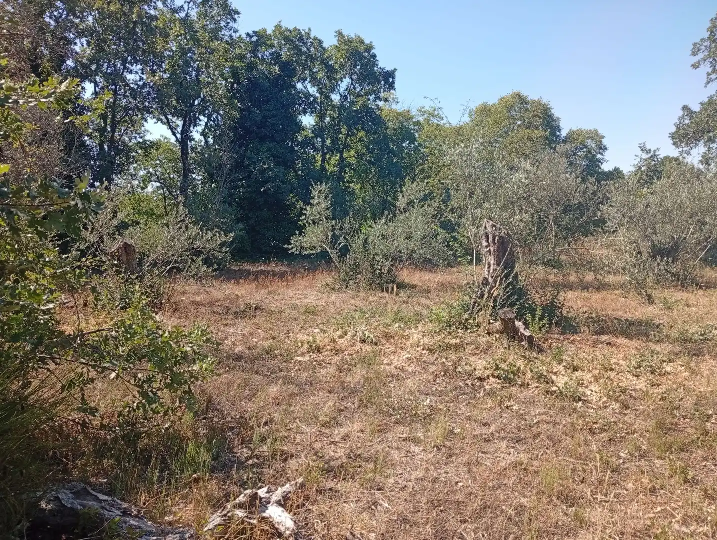 Terreni e lotti in vendita a Villanueva de la Vera, imagen 2