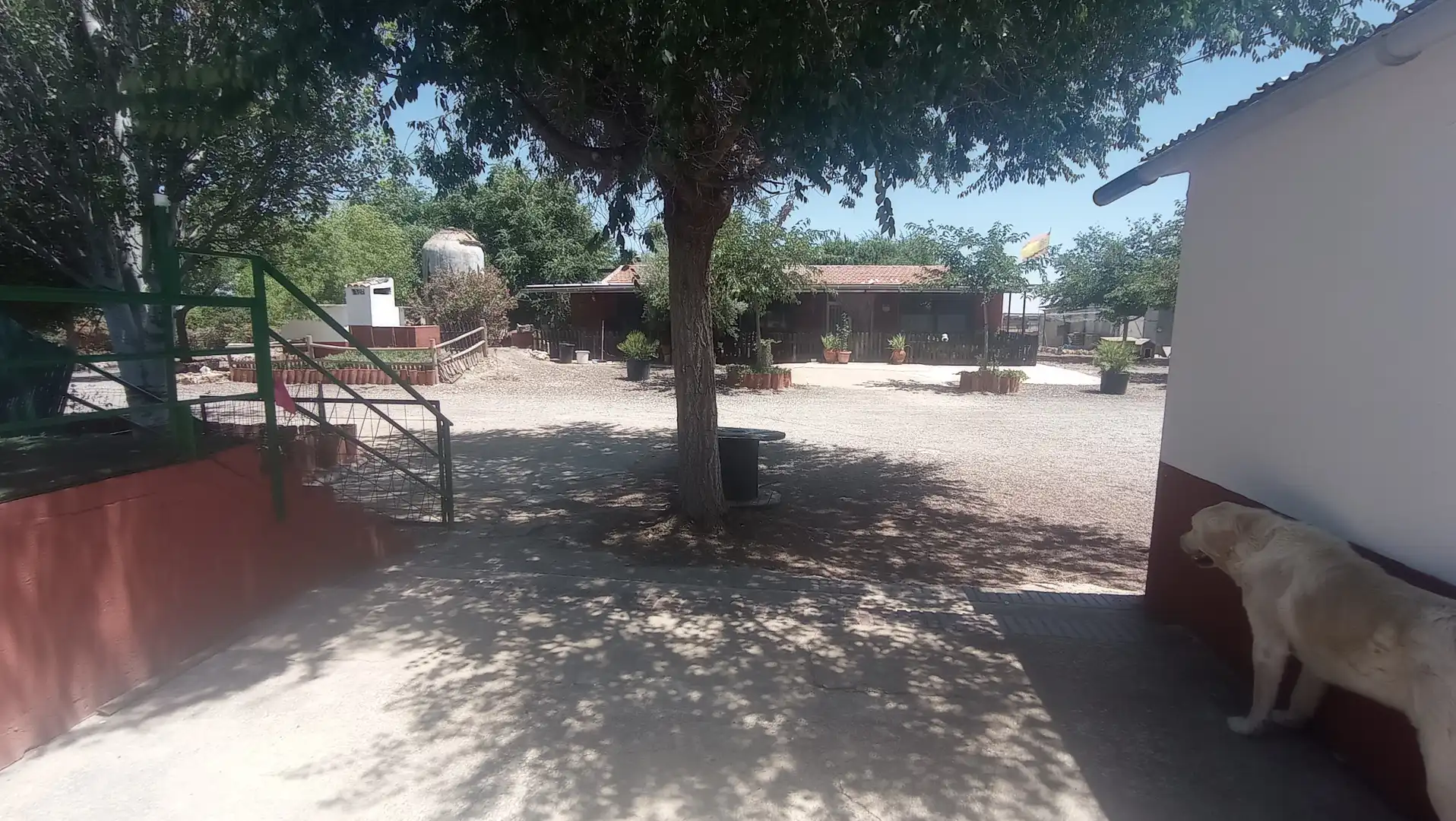 Terreno rústico en venta en Carrión de Calatrava, imagen 6