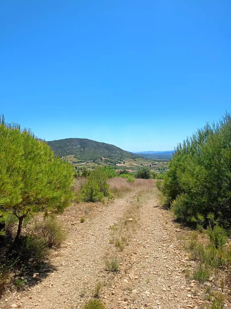 Terreni e lotti in vendita a Pedanías Norte, imagen 20