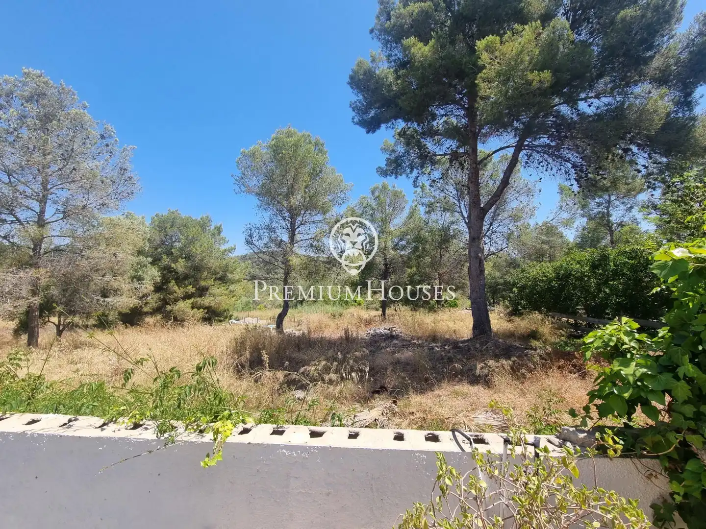 Terrain rustique à vendre à Vallpineda - Rocamar, imagen 15