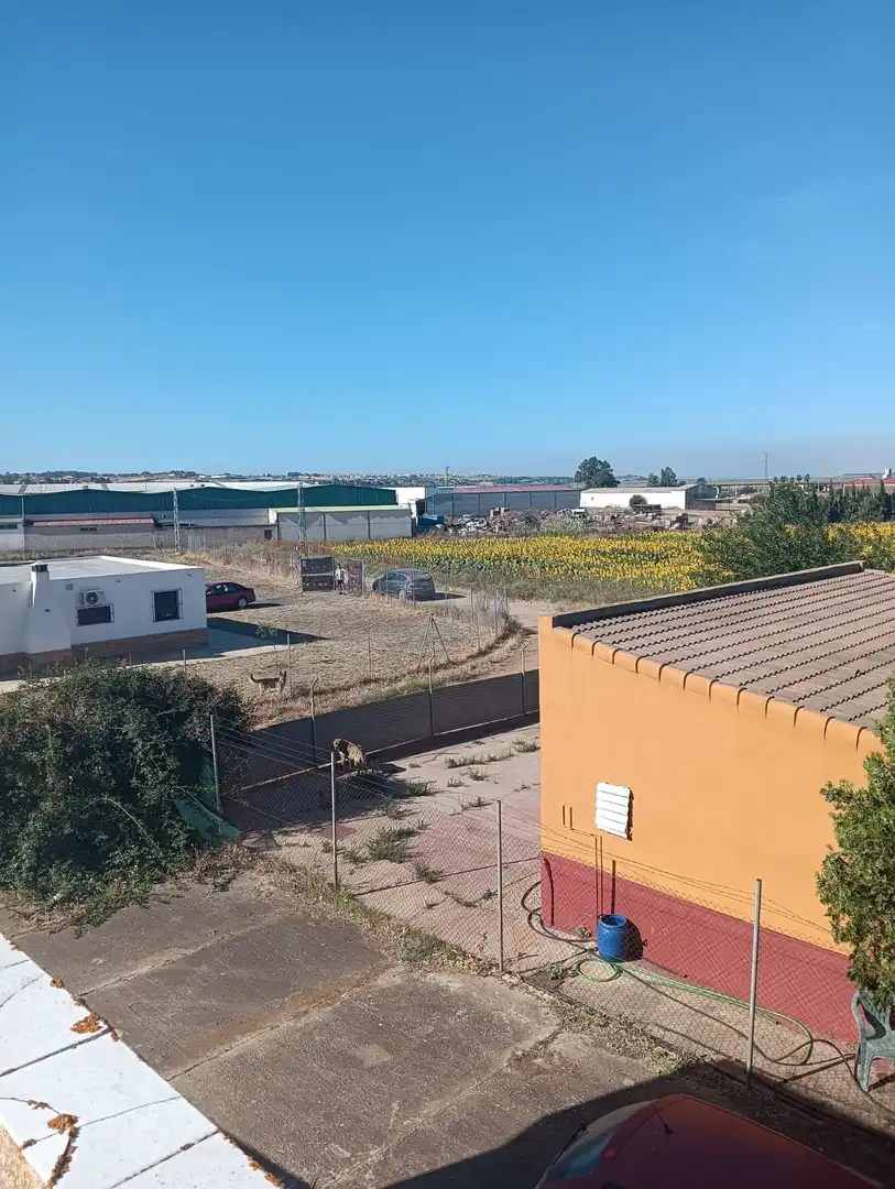 Casa o chalet en venta en Trigueros