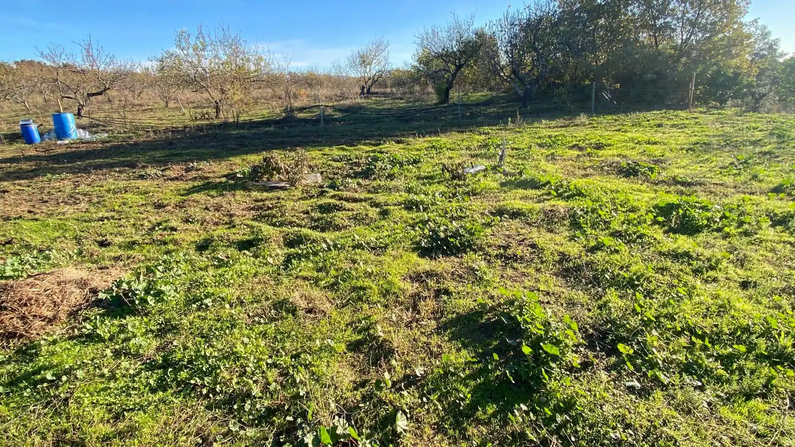 Terreni e lotti in vendita a Zona Norte - Hospital - Urbanizaciones, imagen 39