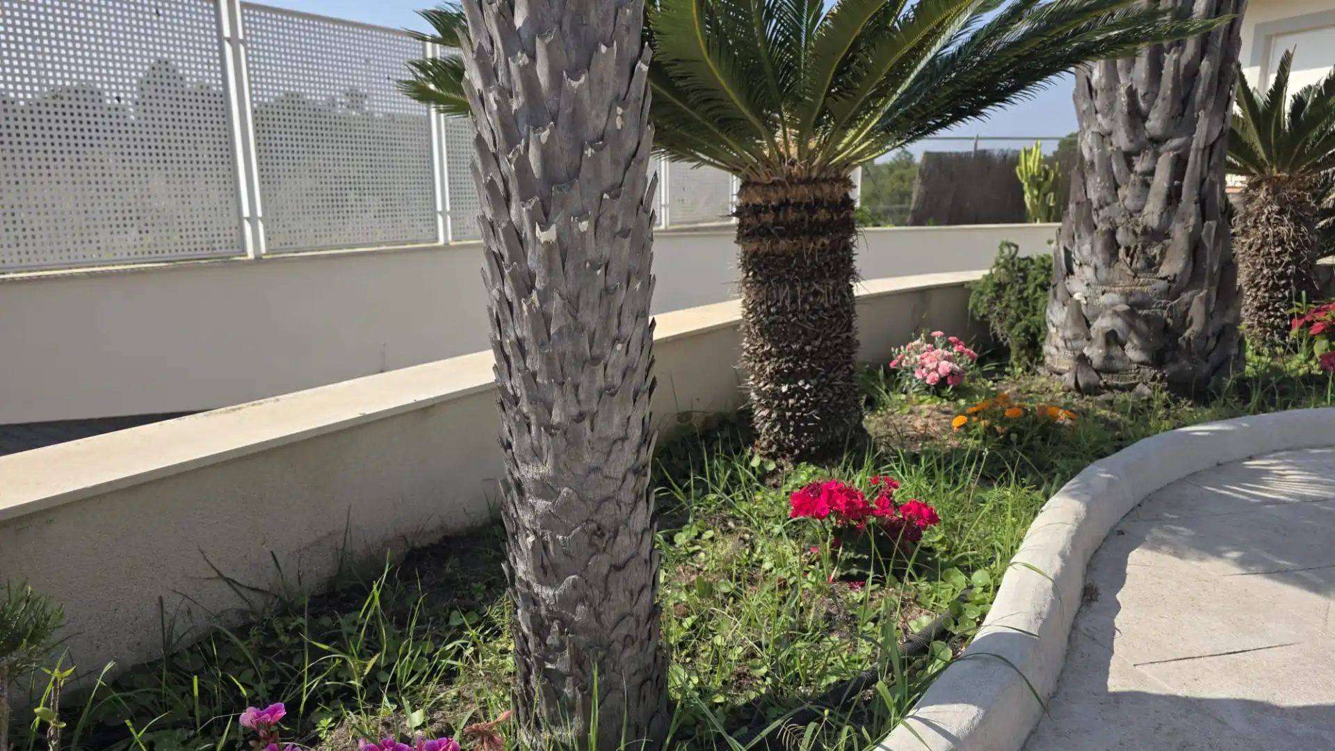 Garten von Haus oder Chalet zum Verkauf in Molina de Segura mit Klimaanlage, Heizung und Privatgarten