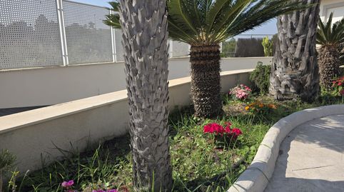 Photo 5 of Houses for sale in Altorreal - El Chorrico, Molina de Segura
