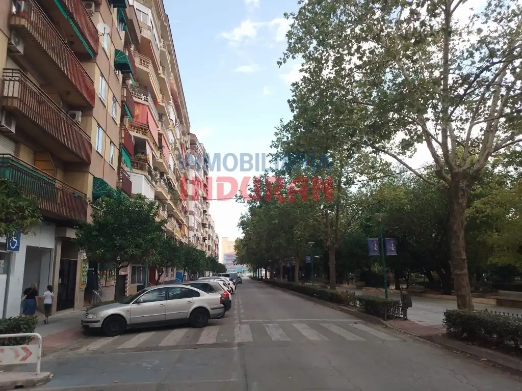Flat with lift for sale in Paseo Estacion