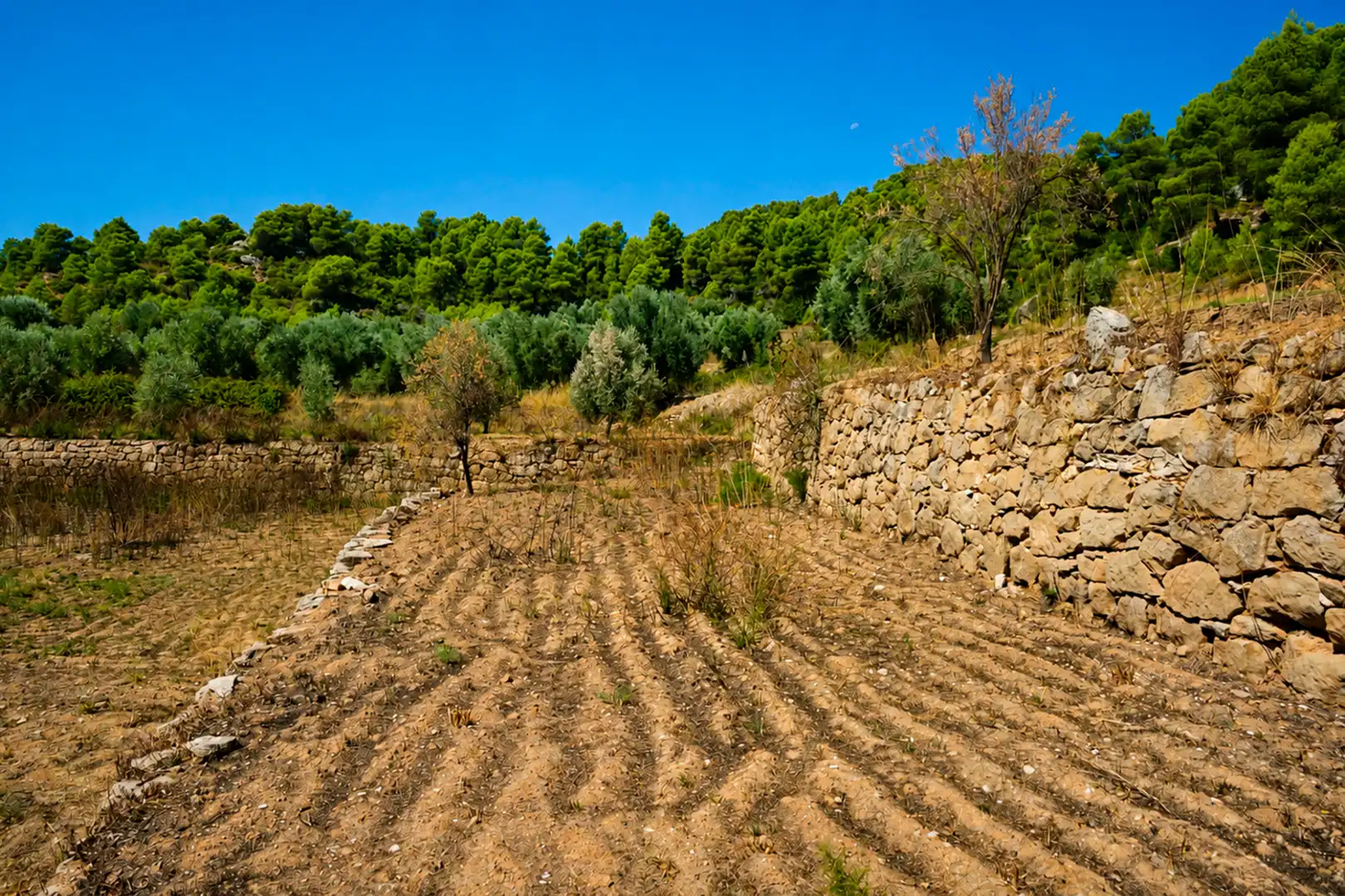 Terreni e lotti in vendita a Valderrobres, imagen 12