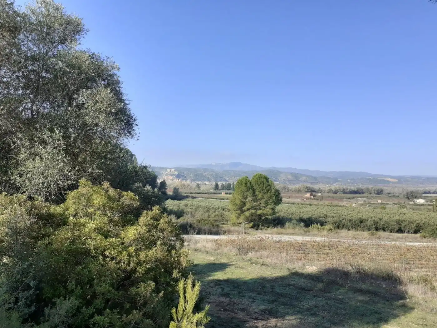 Finca rústica en venda en Ginestar