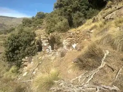 Rural land for sale in Laujar de Andarax, imagen 3
