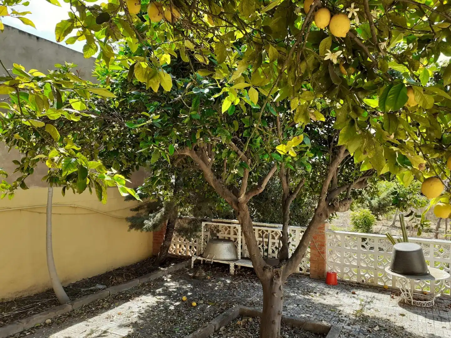 Jardín de Casa o chalet en venta en Cartagena con Aire acondicionado, Jardín privado y Amueblado