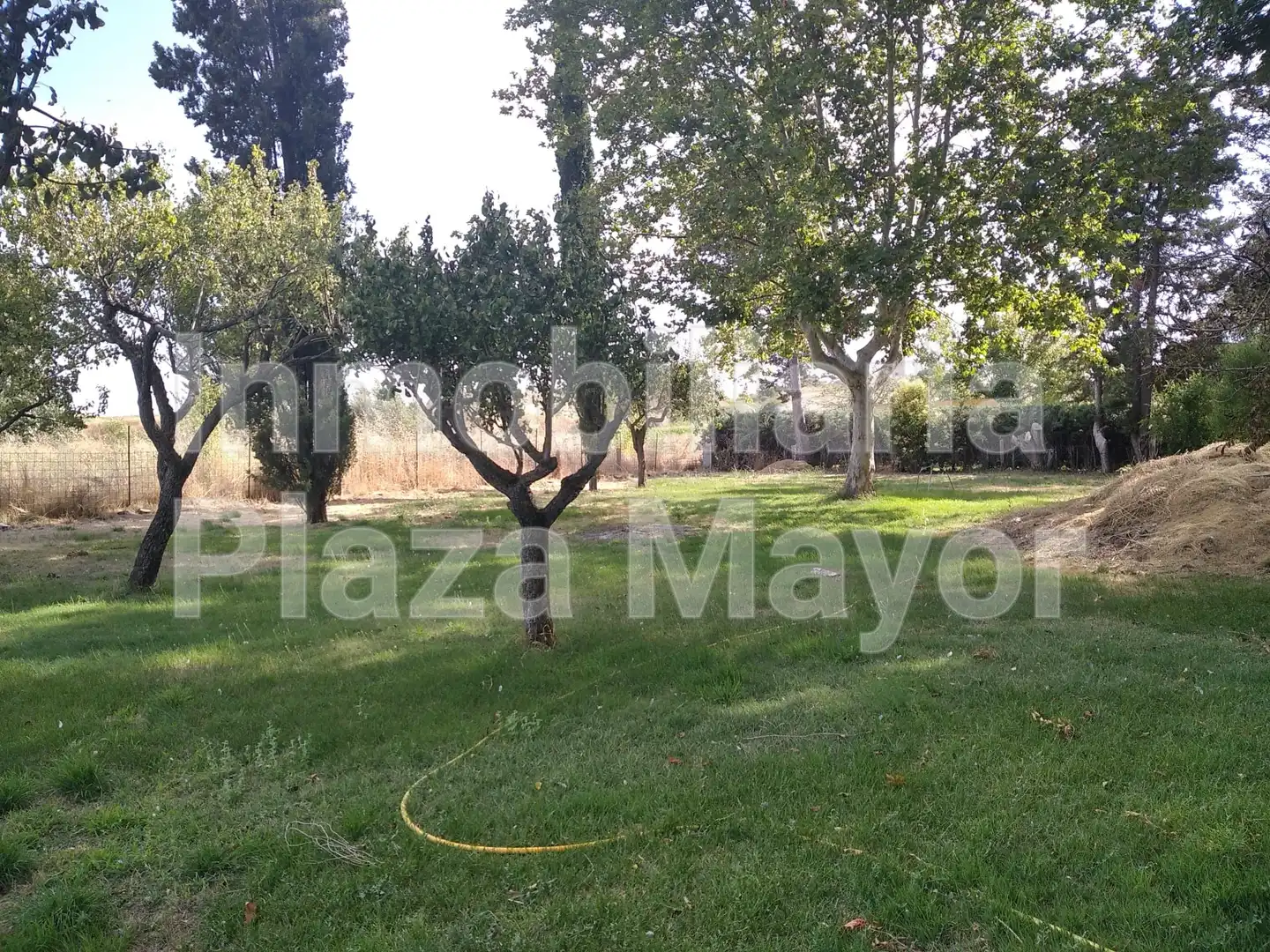 Rural land for sale in Villamayor, imagen 10