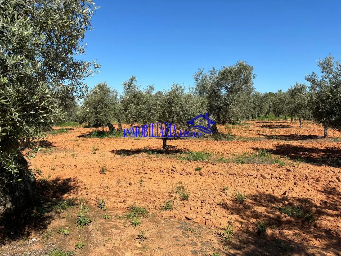 Casa rústica en venta en Montoro, imagen 26