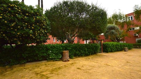 Photo 2 of Detached homes for sale in El Cano - Los Bermejales, Sevilla Capital