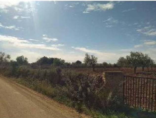 Terreno residencial en Venta en Llucmajor pueblo